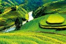 DISCOVERY VIETNAM 14D13N 