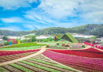3 DAYS DISCOVERY DALAT CITY OF THOUSAND FLOWERS