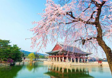 DU XUÂN CANH TÝ: KHÁM PHÁ HÀN QUỐC