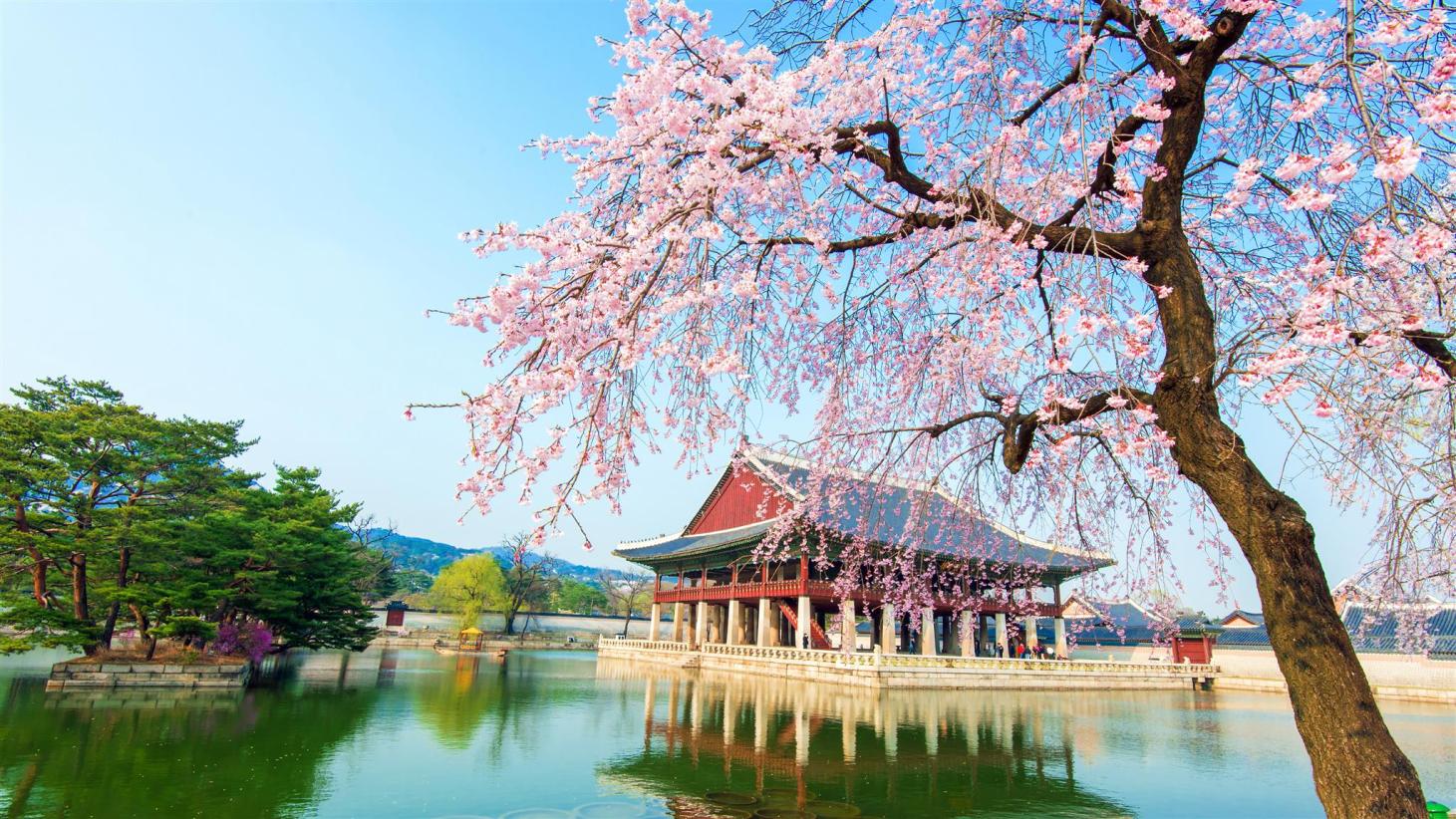 DU XUÂN CANH TÝ: SEOUL – NAMI – LOTTE WORLD – TRƯỢT TUYẾT
